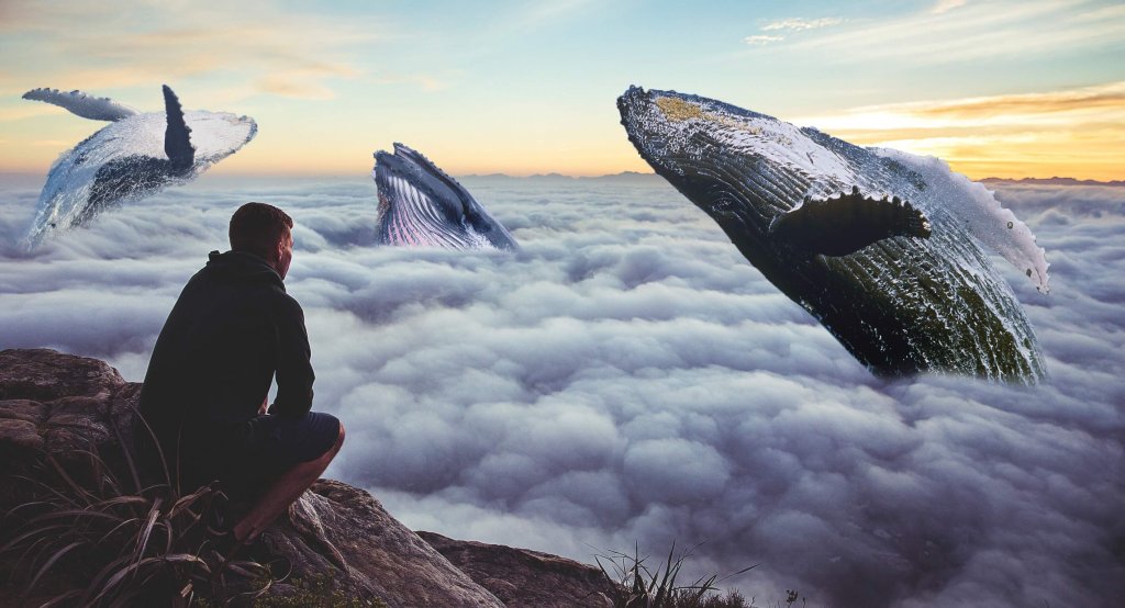 hombre mirando cielo con ballenas