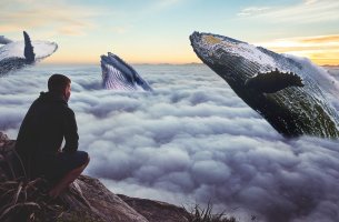 hombre mirando cielo con ballenas