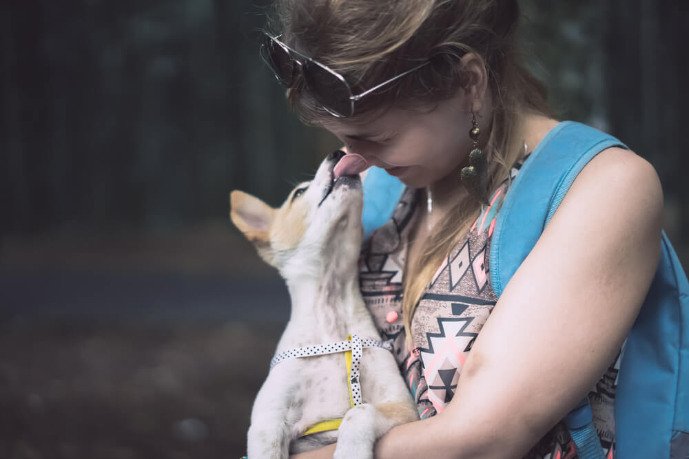 Mujer y perro amor