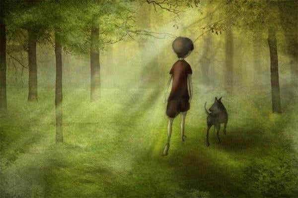 Niño paseando por un bosque con su perro