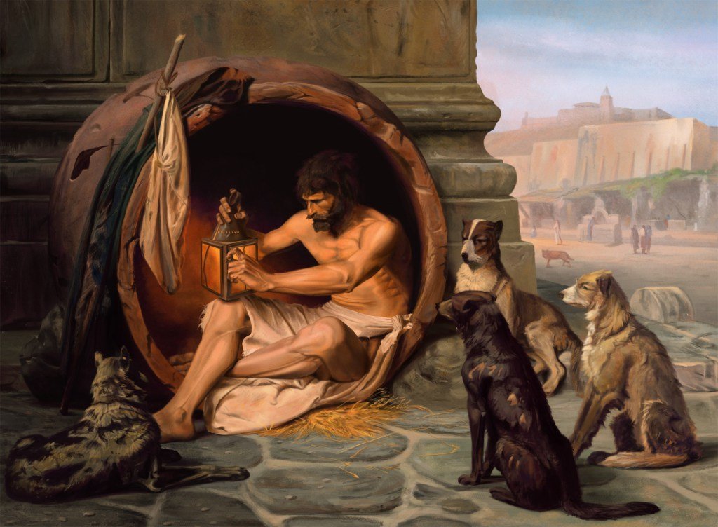 Perros mirando a filósofo