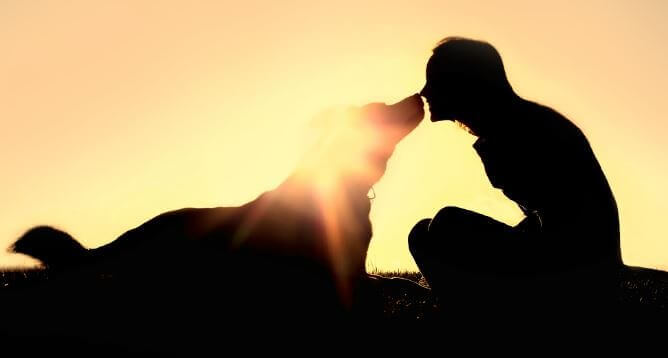Persona con su perro