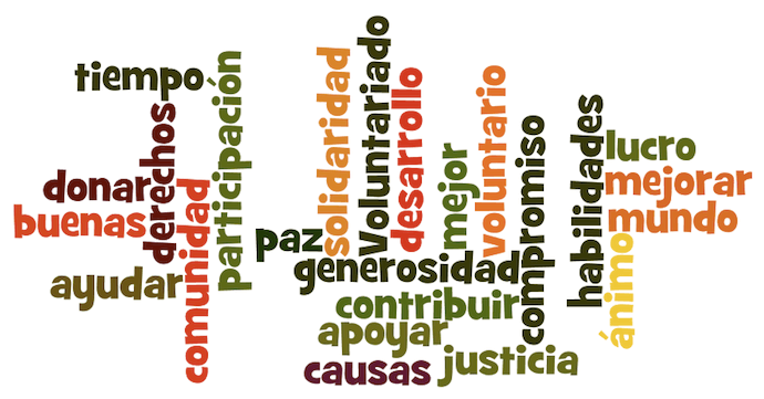 130621_voluntariado
