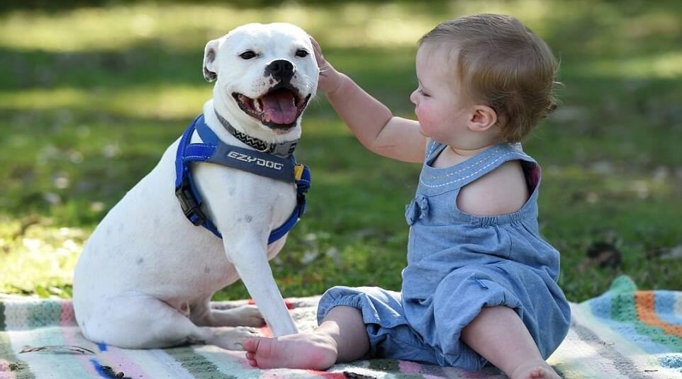 Niña-con-perro-de-tres brazos