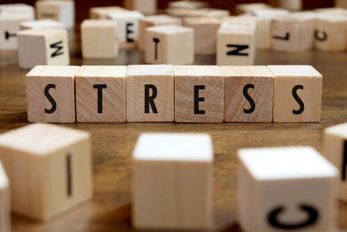 Los 5 beneficios más curiosos del estrés, ¿los conocías?