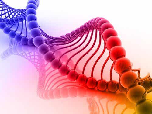 ADN de colores representando sinestesia