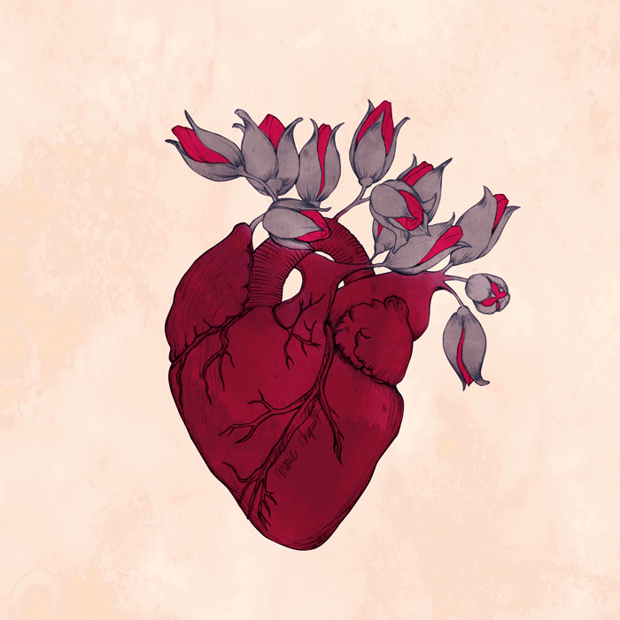 corazon que florece simbolizando al buen profesional