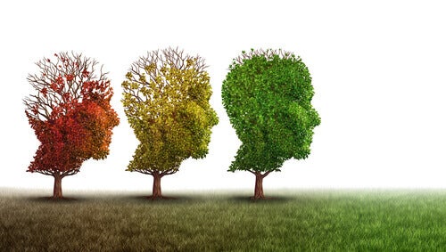 ¿Es el deterioro cognitivo leve la antesala a la demencia?