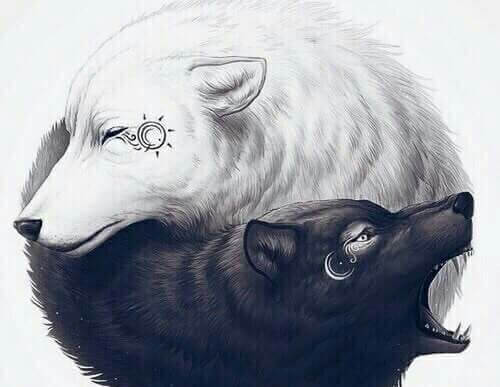 pareja de lobos