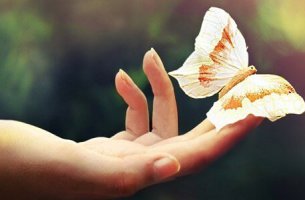 Mano con mariposa para olvidar hay que recordar