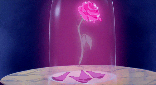 1rosa