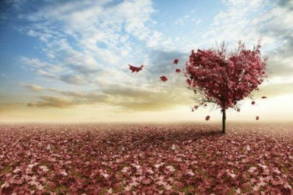 3 reflexiones sobre el amor, de Erich Fromm