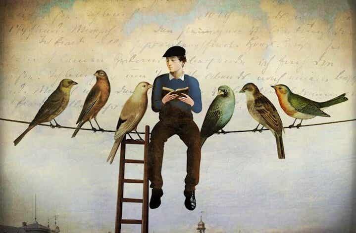 Hombre sentado con pájaros leyendo libros de frases de Fernando Pessoa