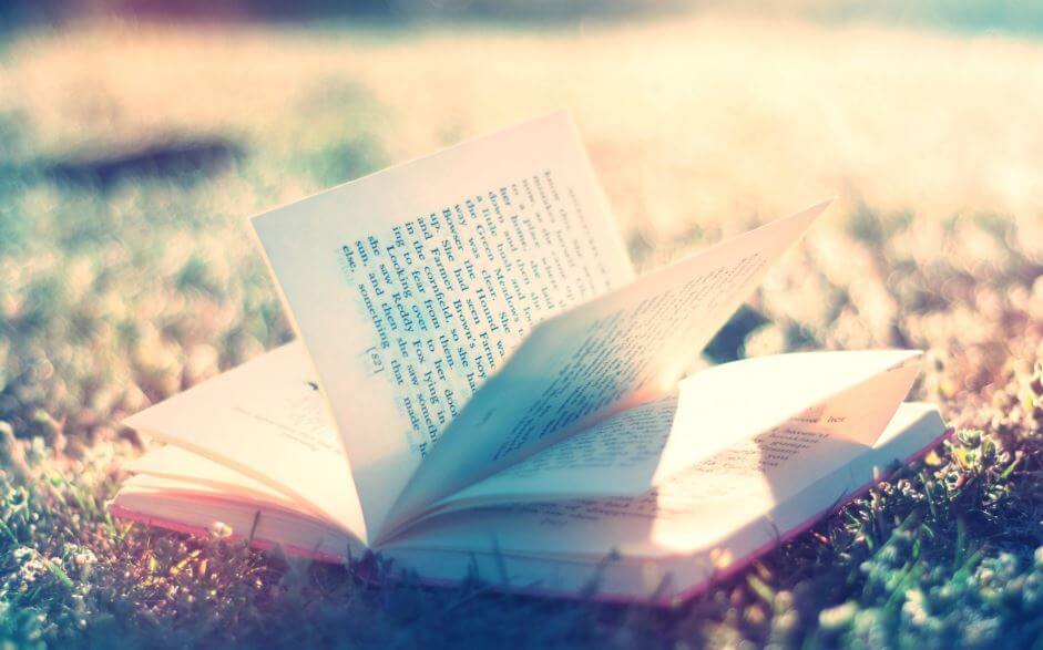 Libro sobre el cesped