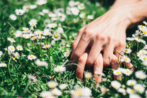 Hands of two people lying on the grass