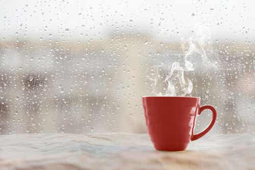 Taza de café en la ventana