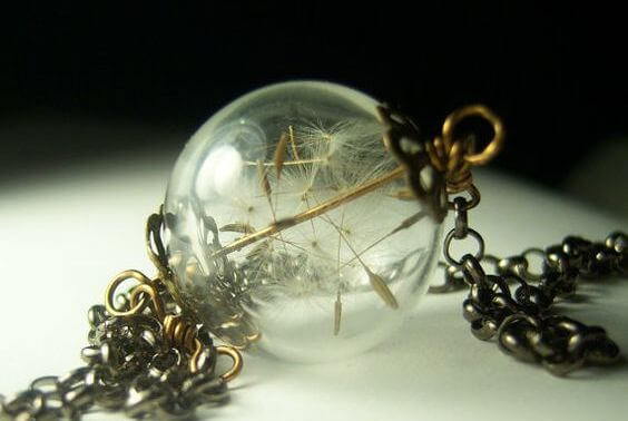 diente de león con frasco