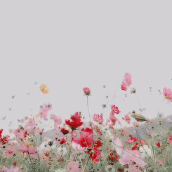 le calme