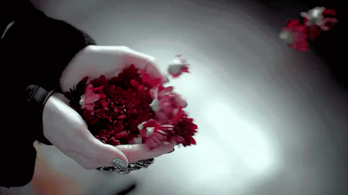 gif flores