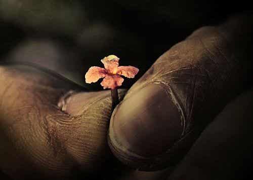 tiny flower