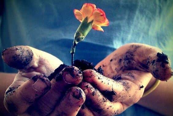 mains avec des fleurs