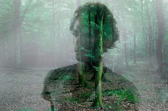 person superimposed over woods