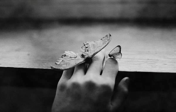 mão com borboleta