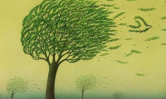 árbol