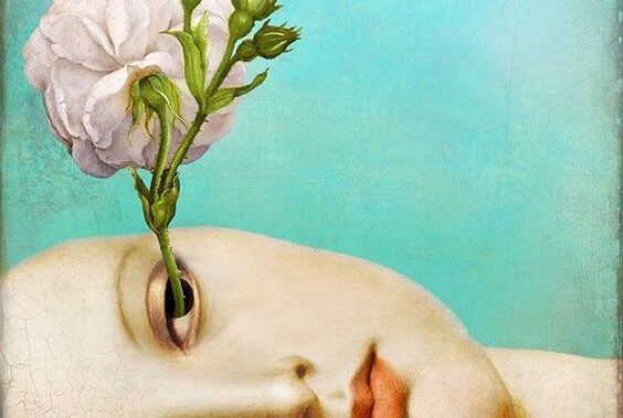 fleur sortant d'un oeil représentant des jugements