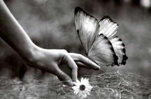 mano con mariposa