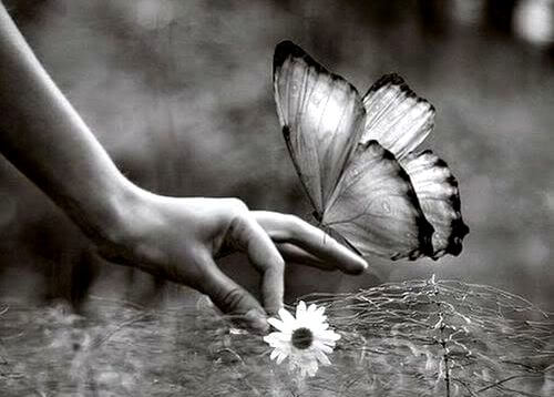 mano con mariposa