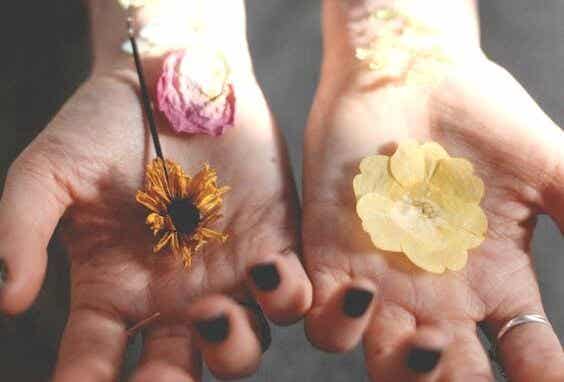 manos con flores