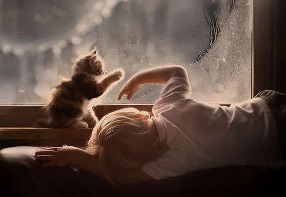niño con gato