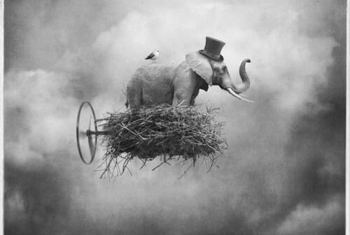 elefante suspendido en nube
