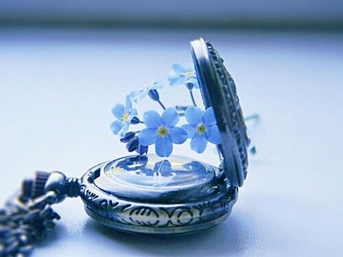 reloj