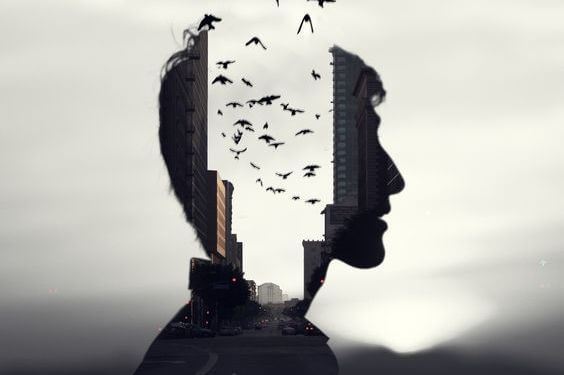 hombre con pájaros en la cabeza
