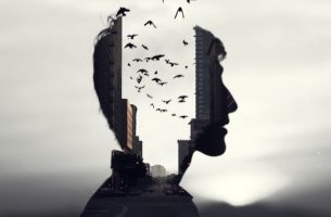 Hombre con pájaros en la cabeza
