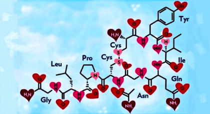 ¿Sabes cómo actúa la hormona de los abrazos?