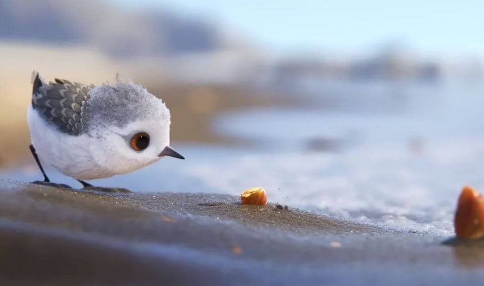 Piper corto de pixar