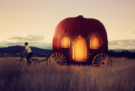 calabaza respuestas