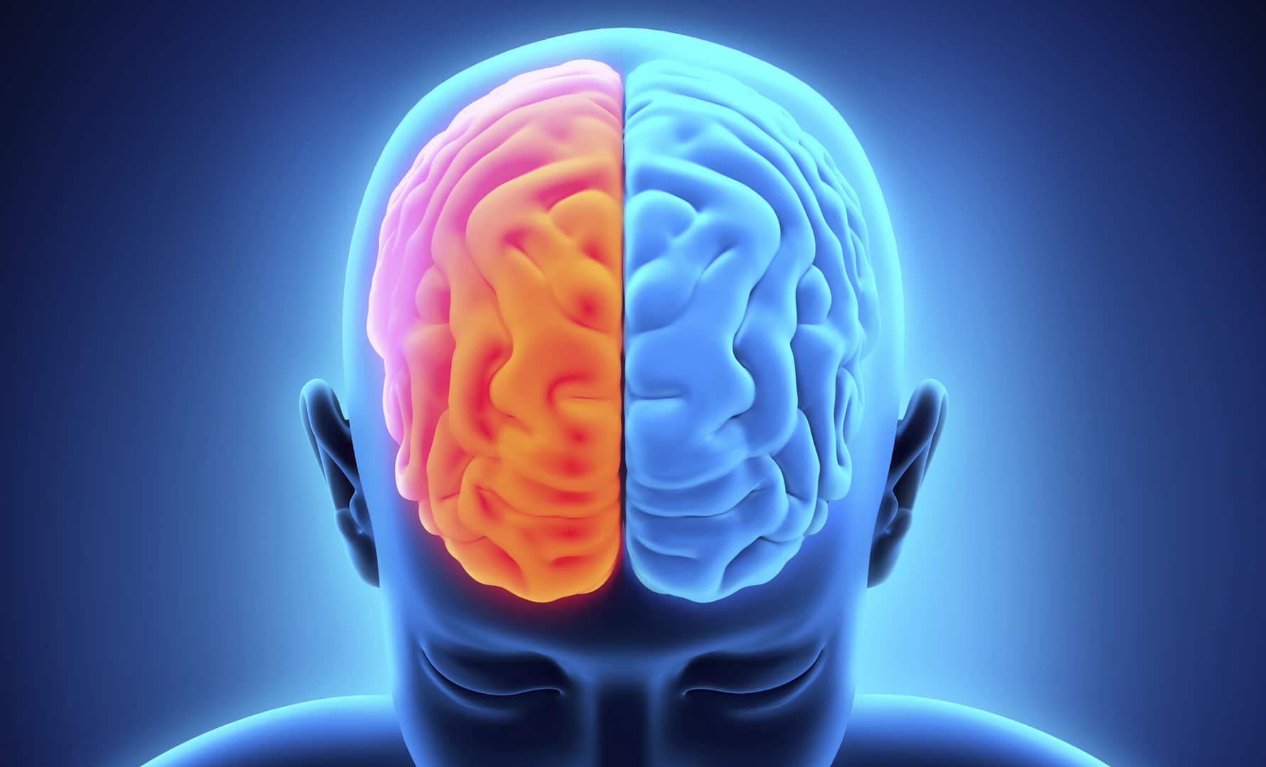 Hemisferios del cerebro