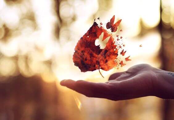 feuille fragmentée en papillon
