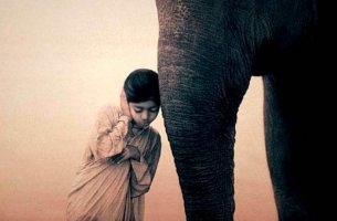 Niña con un elefante haciendo gesto de meditar