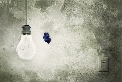 butterfly flying towards light bulb