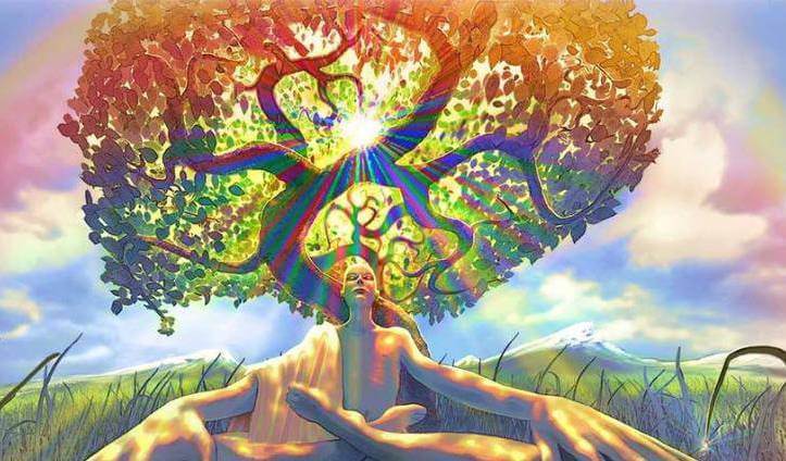 Hombre sentado al lado de un árbol experimentando una toma de conciencia