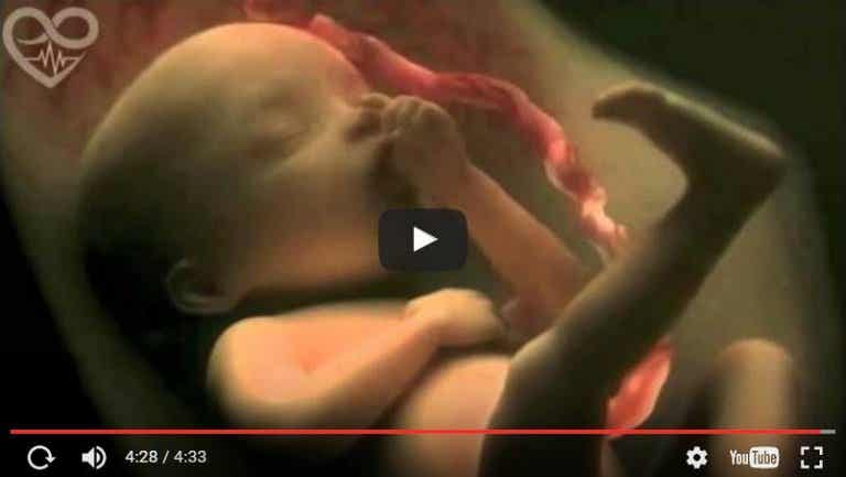 9 meses de embarazo en un maravilloso vídeo de 4 minutos