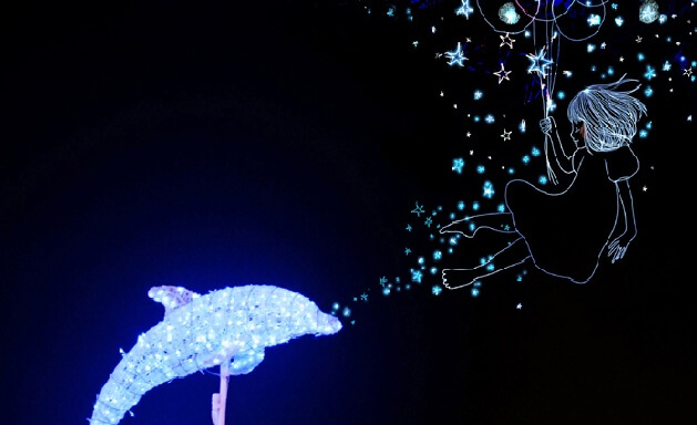 delfín escuchando su ritmo