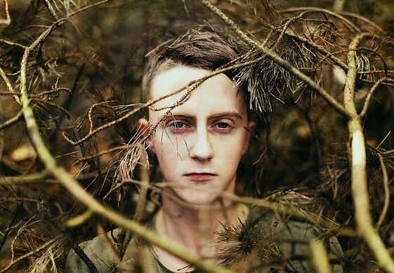 boy in branches