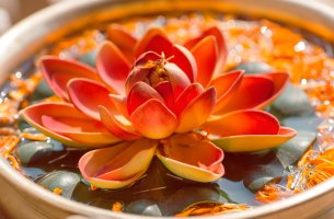 Flor de loto simbolizando ser feliz