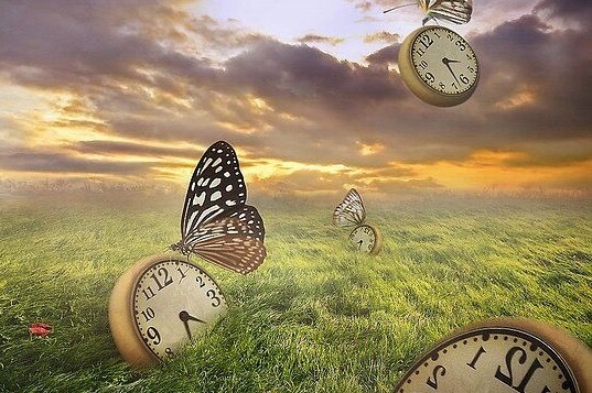 relojes en un campo simbolizando el tiempo de la depresión